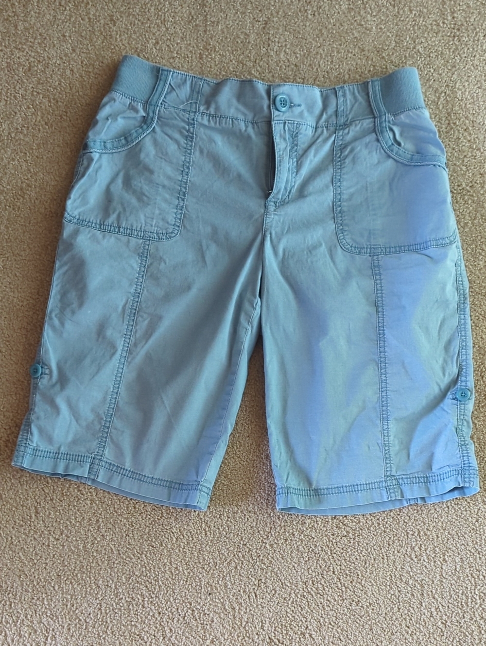 Style & Co. Sage Light Blue Hiking Shorts
